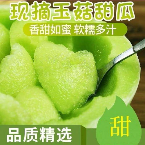 清甜爽脆，夏日瓜香——玉菇甜瓜、哈密瓜、羊角蜜當季批發(fā)指南